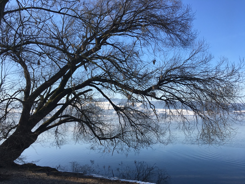 Greifensee